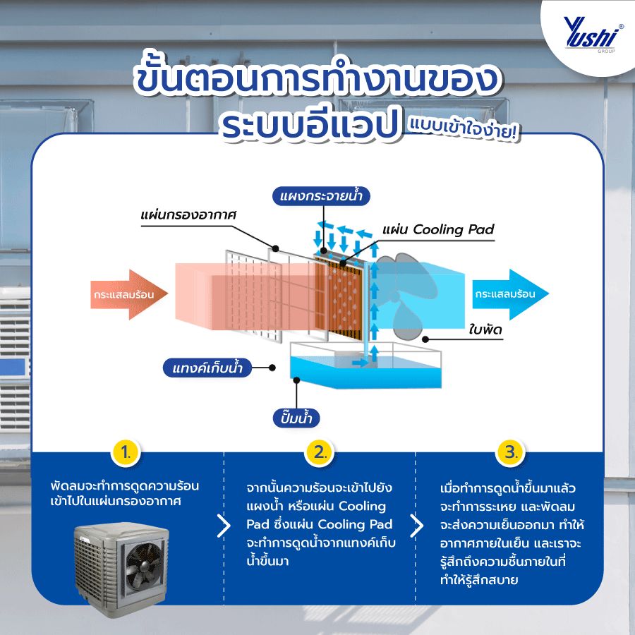 ระบบ Evap มีกี่รูปแบบ ?