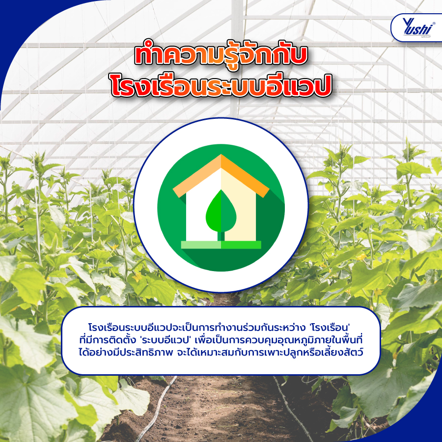 ทำความรู้จักกับโรงเรือนระบบอีแวป