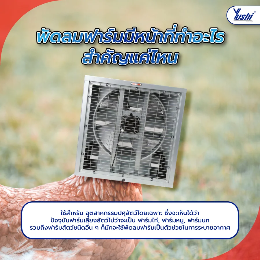 พัดลม ฟาร์ม มีหน้าที่ทำอะไร สำคัญแค่ไหน
