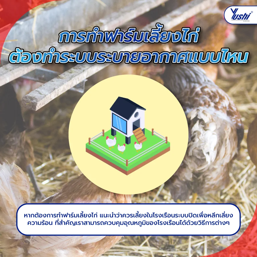 การทำฟาร์มเลี้ยงไก่ ต้องทำระบบระบายอากาศแบบไหน